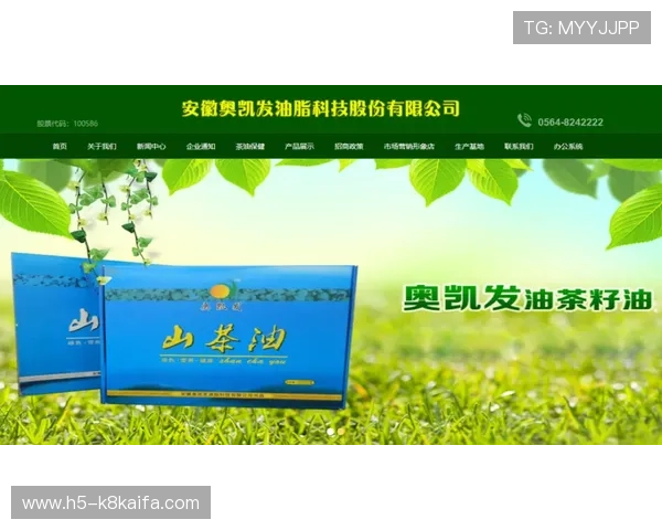 凯发集团网站官网内容全面更新，展示企业多元化发展战略与行业领先地位